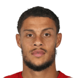 Rudy Gestede