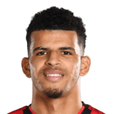 Dominic Solanke