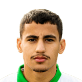 Daniel Arzani