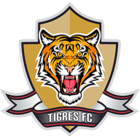 Tigres FC